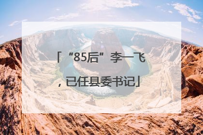 “85后”李一飞，已任县委书记