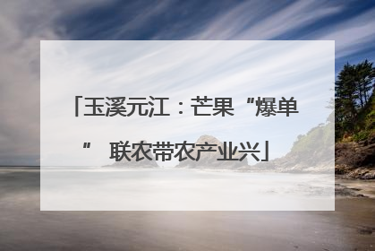玉溪元江：芒果“爆单” 联农带农产业兴
