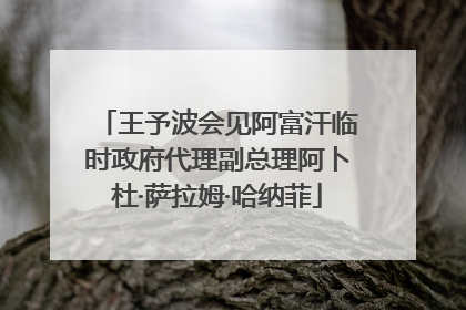 王予波会见阿富汗临时政府代理副总理阿卜杜·萨拉姆·哈纳菲