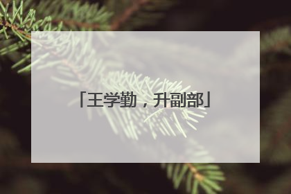 王学勤，升副部