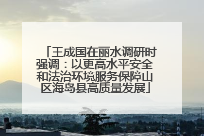 王成国在丽水调研时强调：以更高水平安全和法治环境服务保障山区海岛县高质量发展