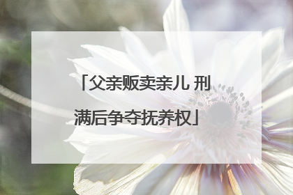 父亲贩卖亲儿 刑满后争夺抚养权