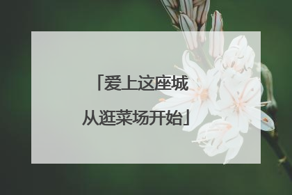 爱上这座城 从逛菜场开始