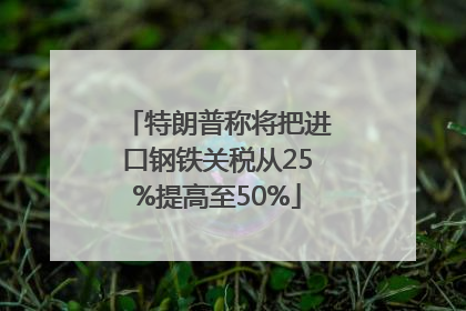 特朗普称将把进口钢铁关税从25%提高至50%