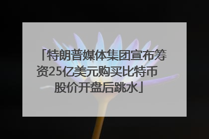 特朗普媒体集团宣布筹资25亿美元购买比特币 股价开盘后跳水