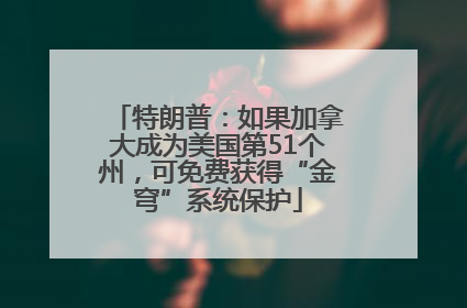 特朗普：如果加拿大成为美国第51个州，可免费获得“金穹”系统保护