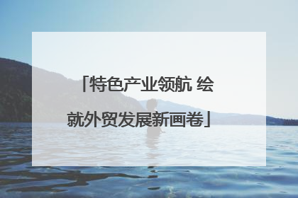 特色产业领航 绘就外贸发展新画卷