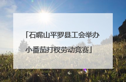 石嘴山平罗县工会举办小番茄打杈劳动竞赛