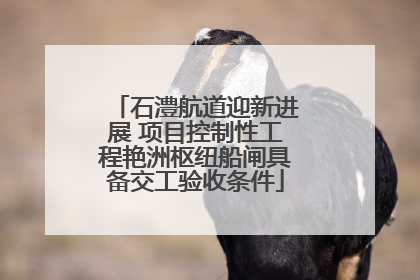 石澧航道迎新进展 项目控制性工程艳洲枢纽船闸具备交工验收条件