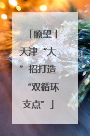 瞭望丨天津“大”招打造“双循环支点”
