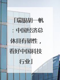 瑞银胡一帆：中国经济总体具有韧性，看好中国科技行业
