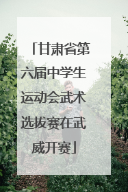 甘肃省第六届中学生运动会武术选拔赛在武威开赛