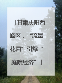 甘肃庆阳西峰区：“流量花园”引爆“庭院经济”