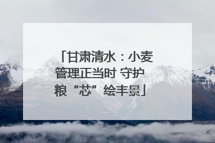 甘肃清水：小麦管理正当时 守护粮“芯”绘丰景