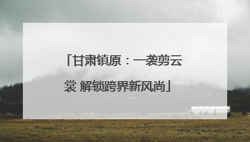 甘肃镇原：一袭剪云裳 解锁跨界新风尚