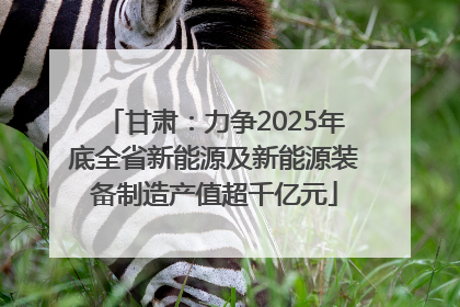 甘肃：力争2025年底全省新能源及新能源装备制造产值超千亿元