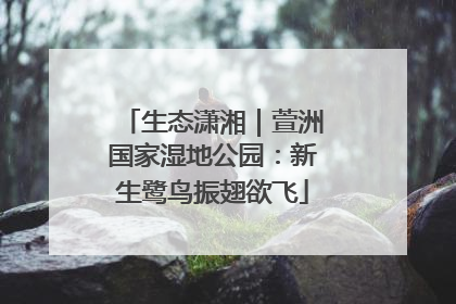 生态潇湘｜萱洲国家湿地公园：新生鹭鸟振翅欲飞