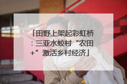 田野上架起彩虹桥：三亚水蛟村“农田+”激活乡村经济