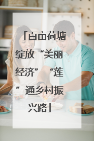 百亩荷塘绽放“美丽经济”“莲”通乡村振兴路