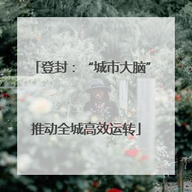 登封：“城市大脑”推动全城高效运转
