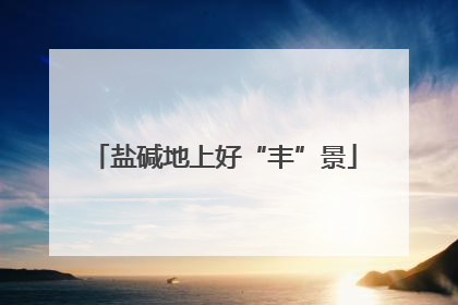 盐碱地上好“丰”景