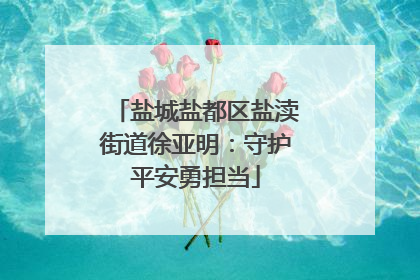盐城盐都区盐渎街道徐亚明：守护平安勇担当