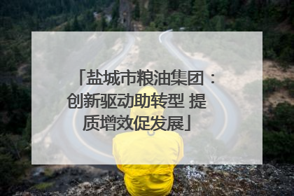 盐城市粮油集团：创新驱动助转型 提质增效促发展