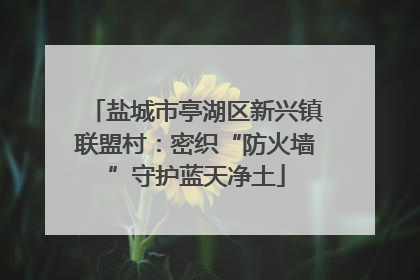盐城市亭湖区新兴镇联盟村：密织“防火墙”守护蓝天净土