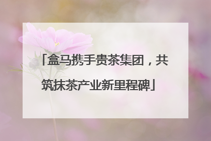盒马携手贵茶集团，共筑抹茶产业新里程碑