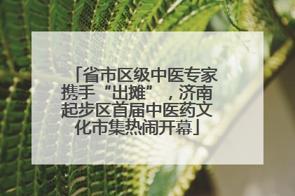 省市区级中医专家携手“出摊”，济南起步区首届中医药文化市集热闹开幕