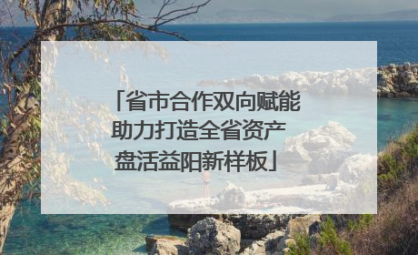 省市合作双向赋能 助力打造全省资产盘活益阳新样板