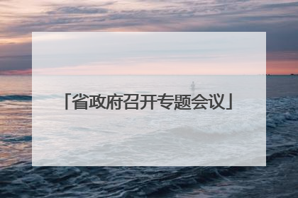 省政府召开专题会议