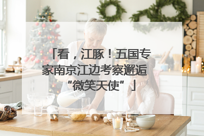 看，江豚！五国专家南京江边考察邂逅“微笑天使”