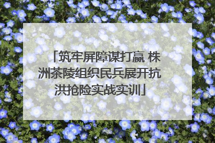 筑牢屏障谋打赢 株洲茶陵组织民兵展开抗洪抢险实战实训