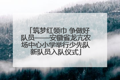 筑梦红领巾 争做好队员——安徽省龙亢农场中心小学举行少先队新队员入队仪式