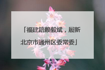 福建籍赖毅斌，履新北京市通州区委常委