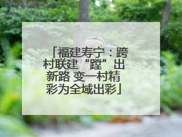 福建寿宁：跨村联建“蹚”出新路 变一村精彩为全域出彩