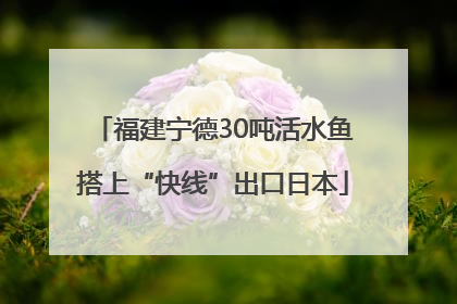 福建宁德30吨活水鱼搭上“快线”出口日本