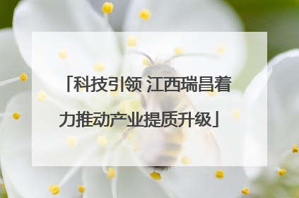 科技引领 江西瑞昌着力推动产业提质升级