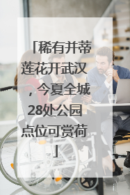 稀有并蒂莲花开武汉，今夏全城28处公园点位可赏荷
