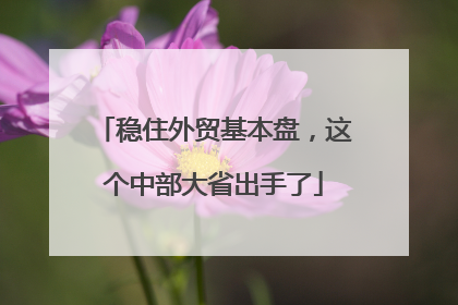 稳住外贸基本盘，这个中部大省出手了