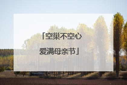 空巢不空心 爱满母亲节
