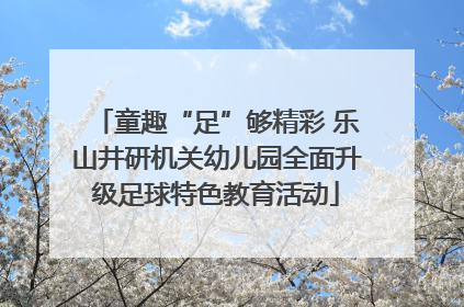 童趣“足”够精彩 乐山井研机关幼儿园全面升级足球特色教育活动