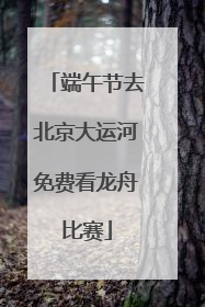 端午节去北京大运河免费看龙舟比赛