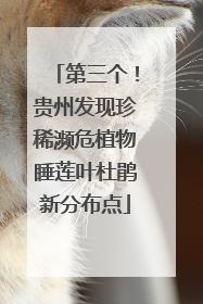 第三个！贵州发现珍稀濒危植物睡莲叶杜鹃新分布点
