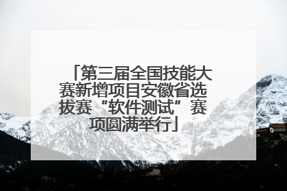 第三届全国技能大赛新增项目安徽省选拔赛“软件测试”赛项圆满举行