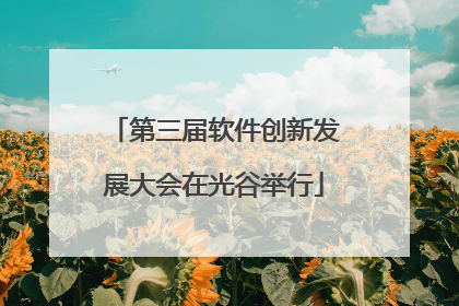 第三届软件创新发展大会在光谷举行