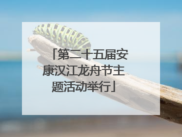 第二十五届安康汉江龙舟节主题活动举行