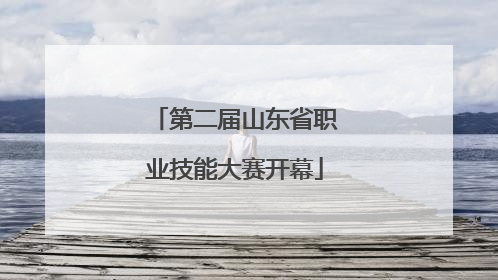 第二届山东省职业技能大赛开幕