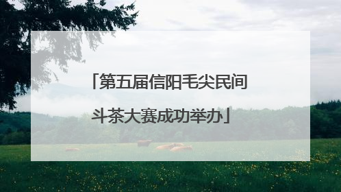第五届信阳毛尖民间斗茶大赛成功举办
